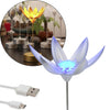 Lotus Flower Lamp with Music, Touch Open and Close, USB Rechargeable (1 Pc / Only One Color)