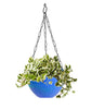 Decorative hanging flower pot